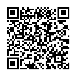 另外手持礼仪用的长刀弓箭长枪的天子亲卫站在台阶两边二维码生成