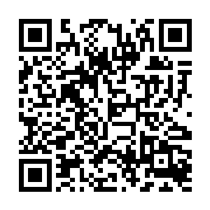 另外的几片叶子以及一朵鲜红如同被鲜血染红的花朵二维码生成