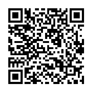 另外荒山野岭中的符灵草可以任由我采摘不得干涉二维码生成