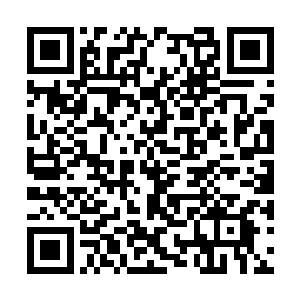 另外还有一群人支持调查真相对患者身体进行检测二维码生成