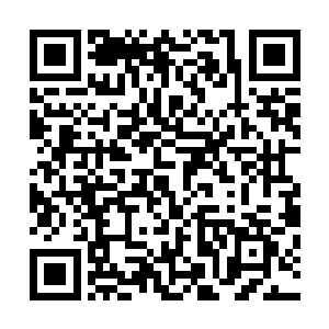 另有一件令整个须弥海都为之震动的消息则是从炼魂岛传出二维码生成