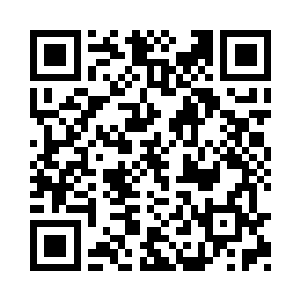 只一瞬间那保镖大半个身子上都吸附上了蚂蟥二维码生成