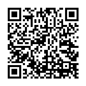 只一脸晦气的在海蛇们严肃脸的监督下离开了海蛇领地二维码生成