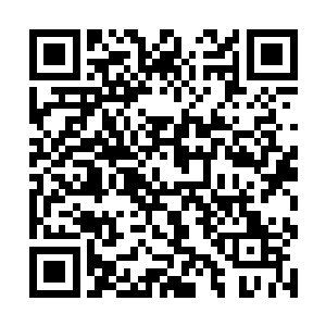 只不过……小石头里的能量在紫妍那一战中已经耗尽二维码生成