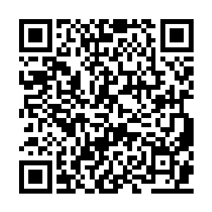 只不过也不知是还没赶到还是顾盼真的没有听说二维码生成