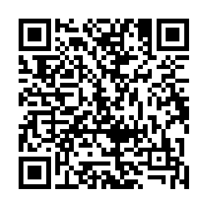 只不过从普通圣域九重天到大圣域层次是一道极大的坎儿二维码生成