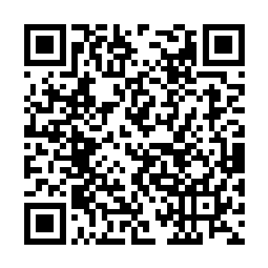 只不过他不愿意认可自己所提出来的训练计划罢了二维码生成