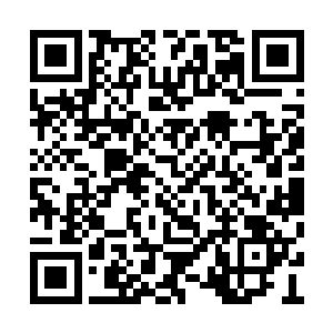 只不过他之前已经说过了会用太极拳的招式破解二维码生成