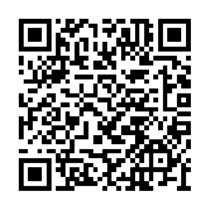 只不过他们也正需要顶级强者的神魂来修补天意二维码生成