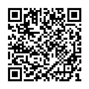 只不过他们四个现在的样子看上去有点不一样了二维码生成