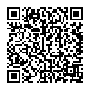 只不过他们的所有精力和注意力都放在了最终能否得到开门授徒资格牌上面了二维码生成