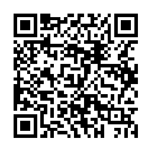 只不过他们的衣服颜色并不是从头到脚都是一个色二维码生成