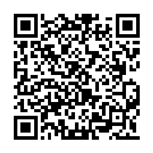 只不过他心中的震撼还没消失――镜子里的女人二维码生成