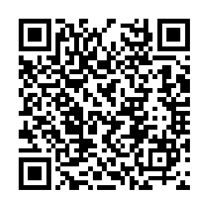 只不过令马纵横惊异不已地是这些人竟然毫不惧死二维码生成