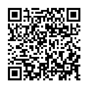 只不过估计他也没想到四大世界居然和平相处那么多年二维码生成