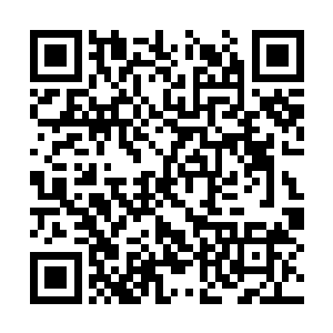 只不过俗世当中的医院只要是病人都能够随便进入二维码生成