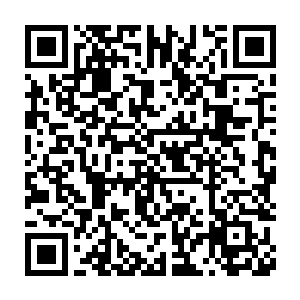 只不过借调到地委办时那个半新旧的人造革包变成了现在崭新的真皮包二维码生成