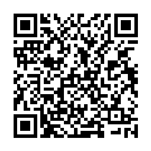 只不过偶尔璎珞也觉的自己的这个建议当真是有些不妥二维码生成