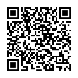 只不过后来在陆续吸收血玛瑙后又进一步加强罢了二维码生成