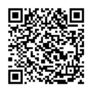 只不过听莫天行说这天启拍行的老板和自己有的一拼二维码生成