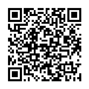 只不过因为她的异能只有在夜晚才能完全发挥威力二维码生成