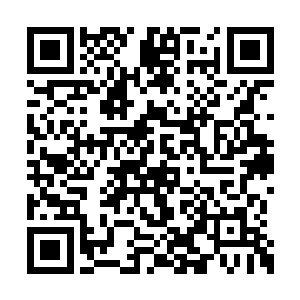 只不过因为昨晚的泥石流让古墓的现场有些混乱二维码生成