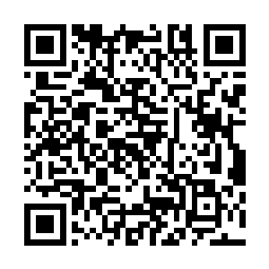 只不过在被那铠甲以及辟寒大王的护体妖气所双重削弱之后二维码生成