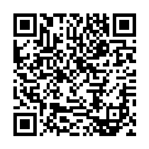 只不过大小姐整个人就跟腹中的婴儿蜷缩在张小凡的怀中二维码生成