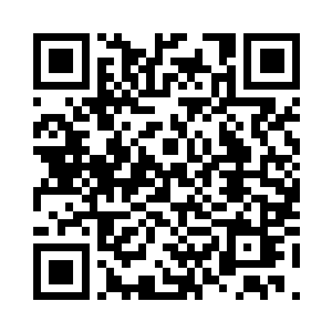 只不过她似乎不是很关注自己的安危二维码生成