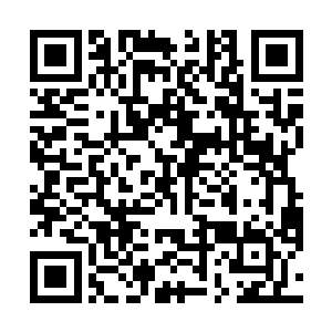 只不过她是绝对想不到金光自己就是神兽那方面的去的二维码生成