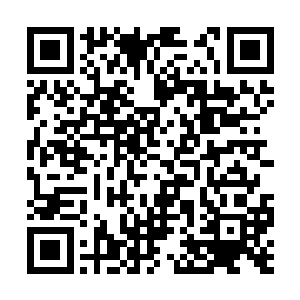 只不过归元法肯定要比秘术的极限要大很多就是了二维码生成