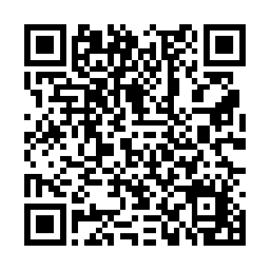 只不过当年的那一战我们没有资格看到最后的决战二维码生成