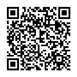 只不过徐凤年当初跟南海观音宗那老妪有过一桩约定二维码生成