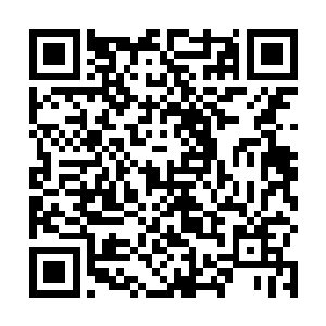 只不过想着自己的宝贝女儿经历了一番长途跋涉的辛苦二维码生成