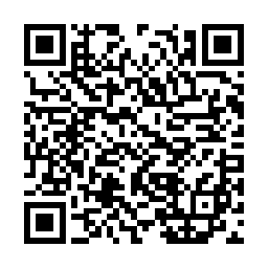 只不过我也没有想到这个世界上竟然还有半钱法师二维码生成