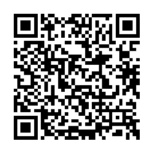只不过我们月家在七大家族之中乃是负责情报的二维码生成