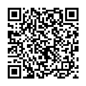 只不过所有的人都知道现在诺亚队长已经失去了反抗能力二维码生成