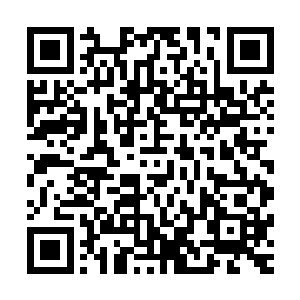 只不过是林雨馨的表情上多了一份要多厌恶就有多厌恶的神色二维码生成