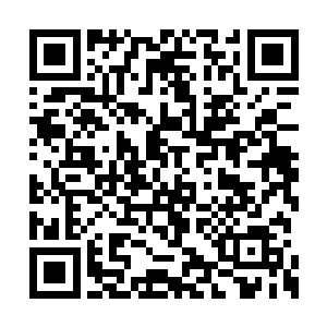 只不过是碍于生的家庭有那么一些不太一样罢了二维码生成