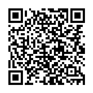 只不过晏浩云和郑晓明显对这样的场面不是特别的习惯二维码生成