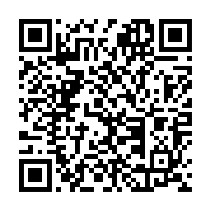 只不过有着佩刀与否都是天下用刀第一人的顾剑棠压阵二维码生成