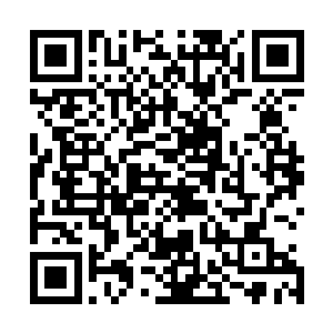 只不过楚姐妹要去跟着九尾狐继续进行没完没了的艰苦训练二维码生成