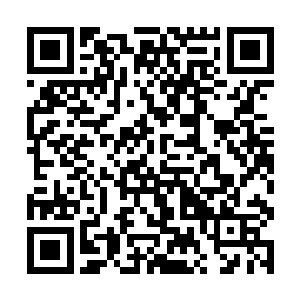 只不过此刻这个强大的界主大妖却是被各种禁法桎梏二维码生成