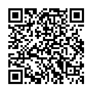 只不过此刻这些海幽灵身上却全部被那种诡异的蓝色火焰覆盖二维码生成