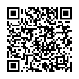 只不过沙发上的确凌乱地放着一些尿不湿和小玩具二维码生成