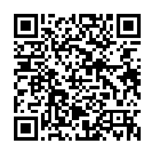 只不过没想到在废墟之都直接撞上了萨鲁哈的开启二维码生成