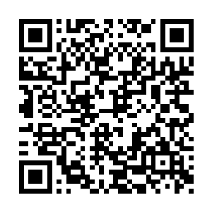 只不过没有人跟自己提及过太多这个方面的事情二维码生成