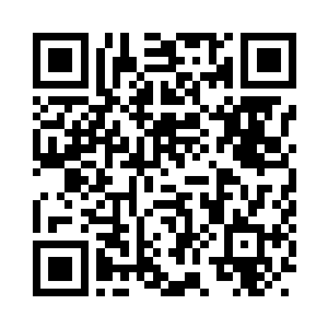 只不过现在的金龙与当日和严执大战的时候二维码生成