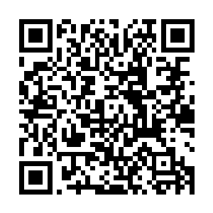 只不过璐璐这个英雄的保命手段和塔下作战能力太强了二维码生成