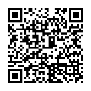 只不过由于大熊圣部的圣者大多是一些自由圣者二维码生成